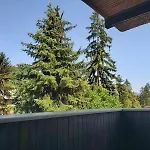 тото шанс 벨린그래드