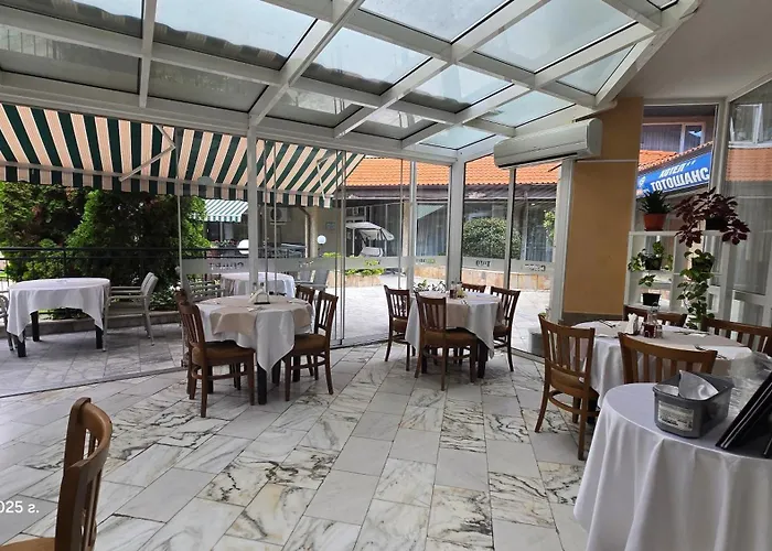 тото шанс Welingrad