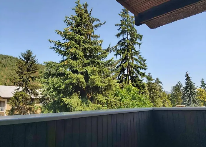 тото шанс Welingrad