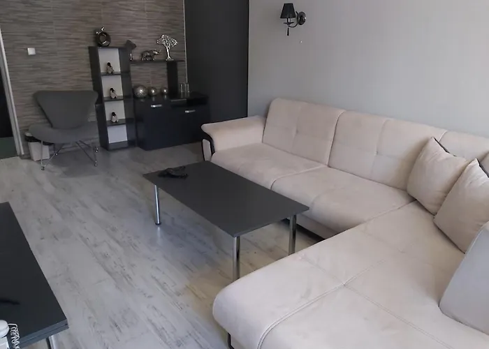 тото шанс Welingrad