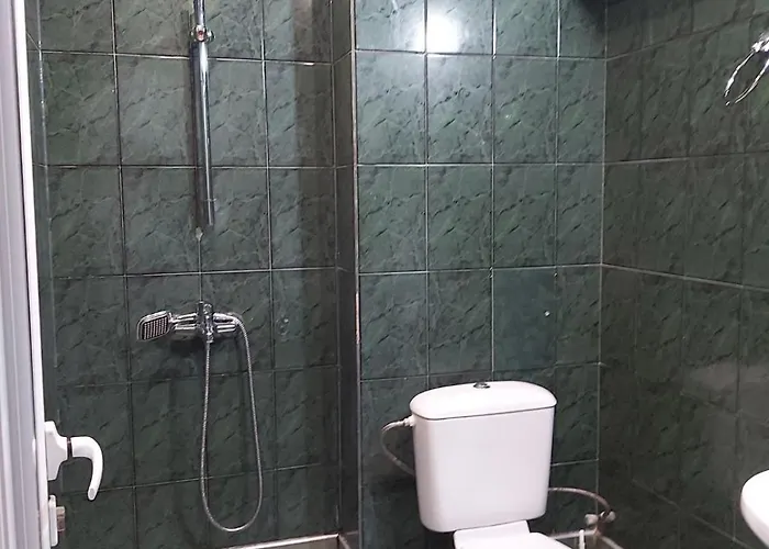 тото шанс Welingrad